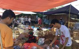 Một lần đi chợ chim cảnh Đền Lừ